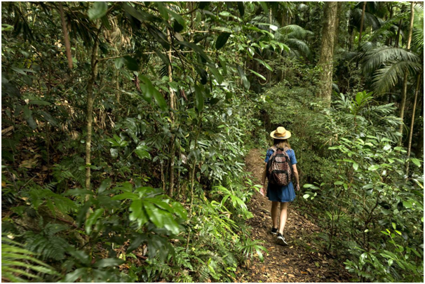 Female hiker walking through a forest trail