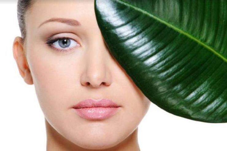 woman's face leaf