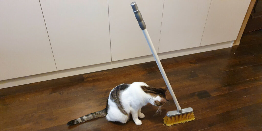 Standing broom challenge